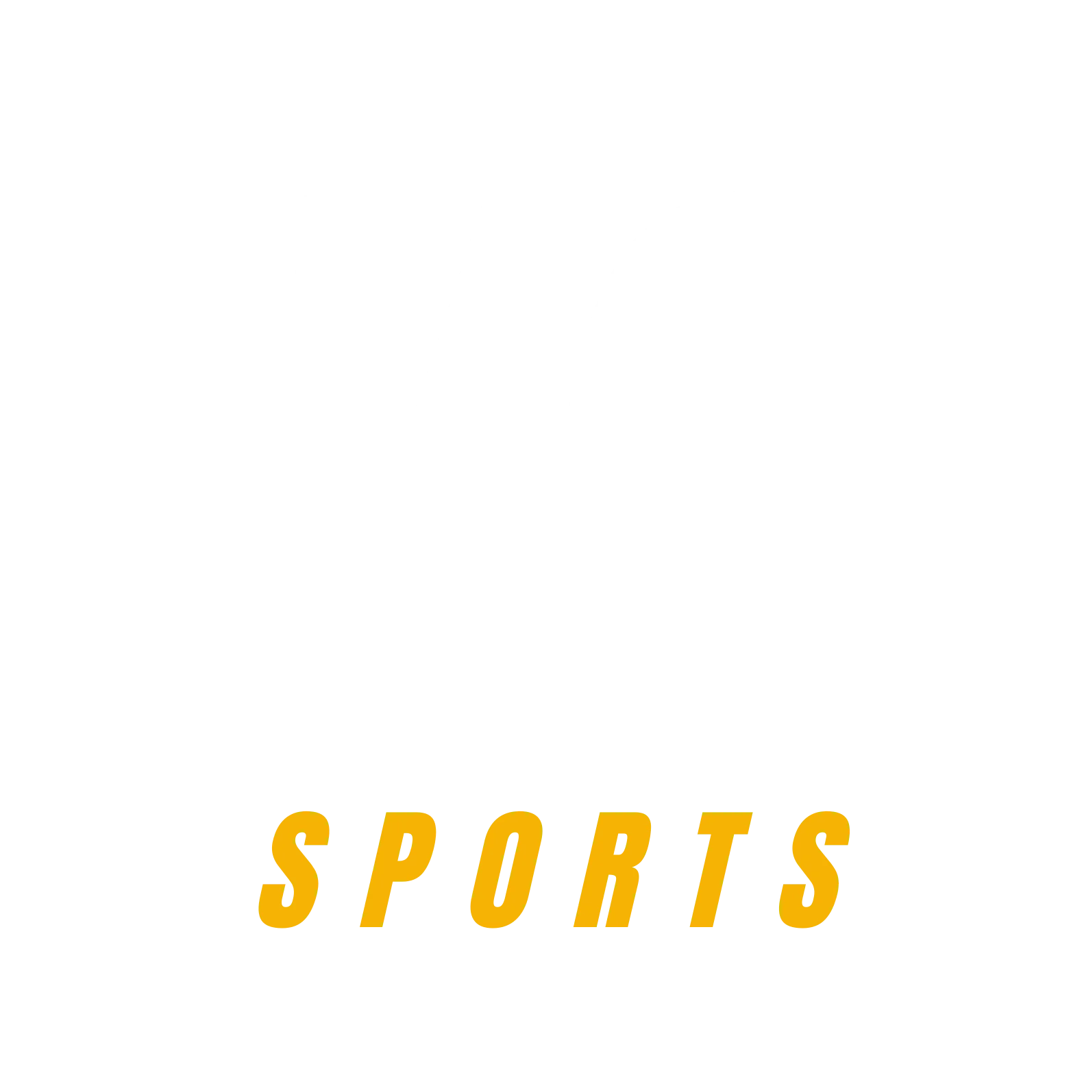 VC Sports